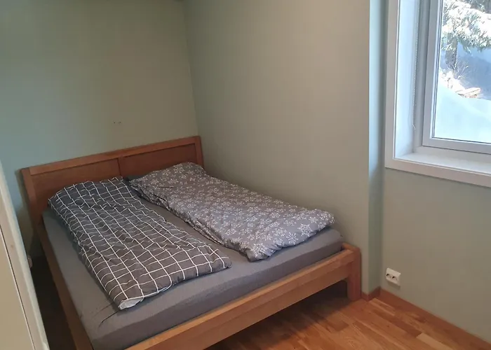 Amazing Near The Center Tromsø