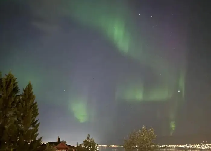 Amazing Near The Center 아파트 *
